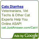 Cats Diarrhea